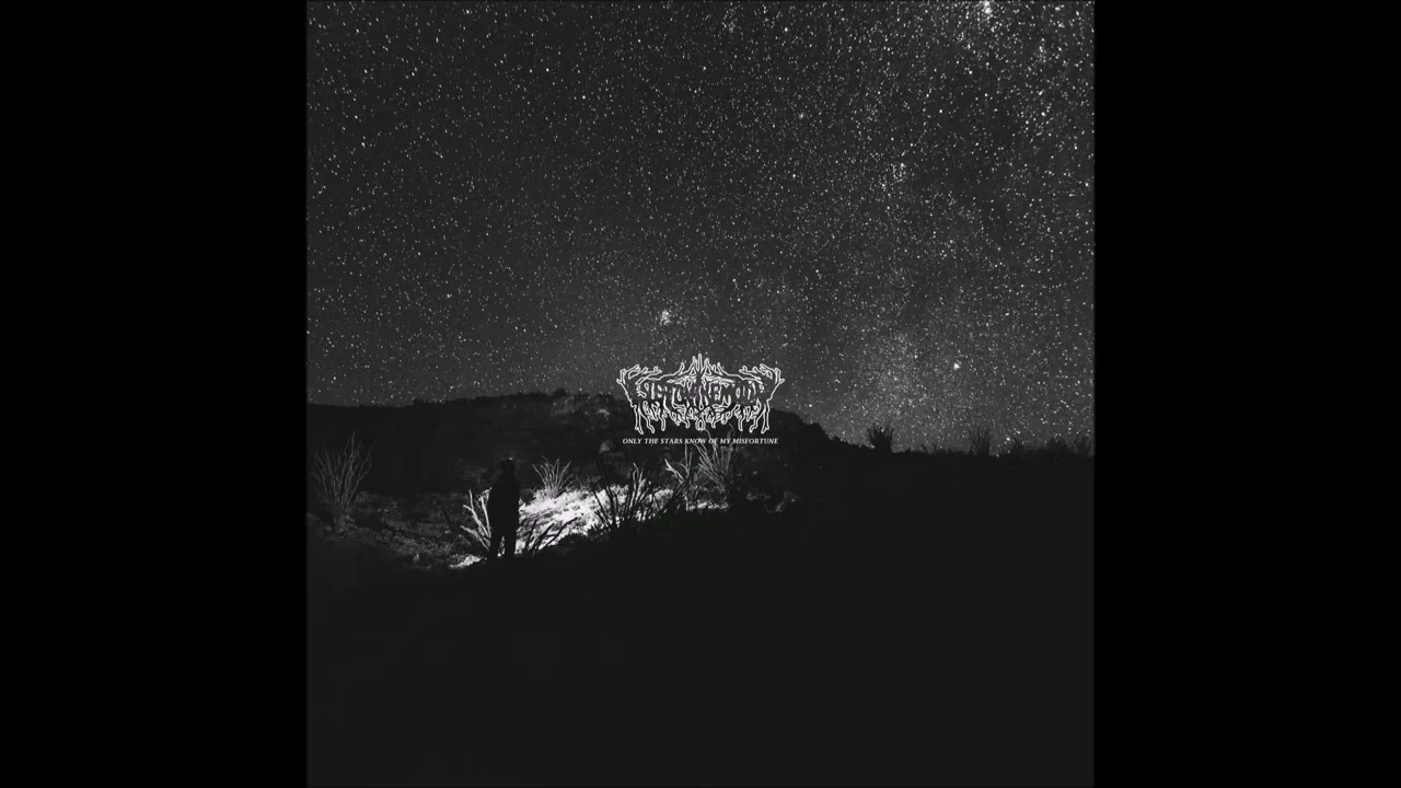 Isleeptonthemoon - I belong to the void (lb)