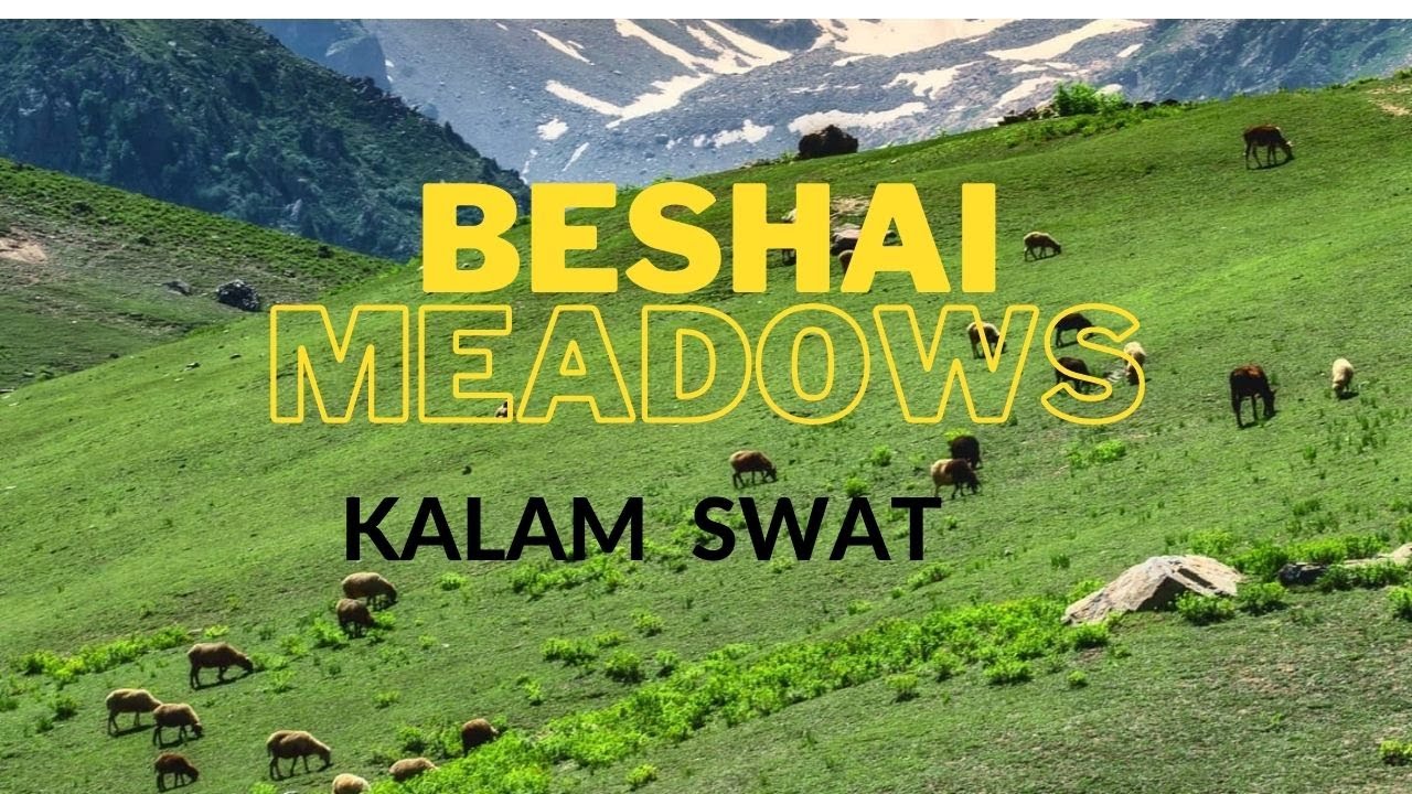 Beshai Meadows I Kalam I Swat I Malakand I Pakistan