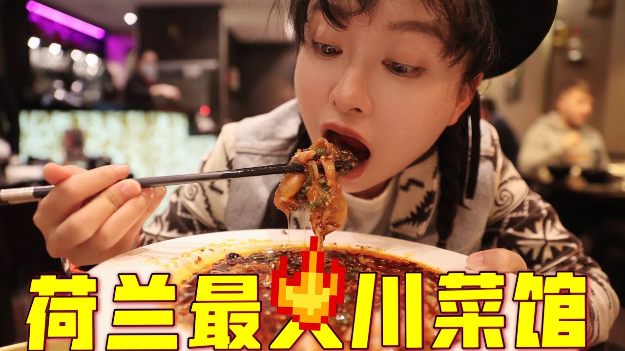 在荷兰开了40年的川菜老店，500元能吃到什么？| 荷蘭 | 川菜 | 美食 | 中餐馆 | 阿姆斯特丹 |