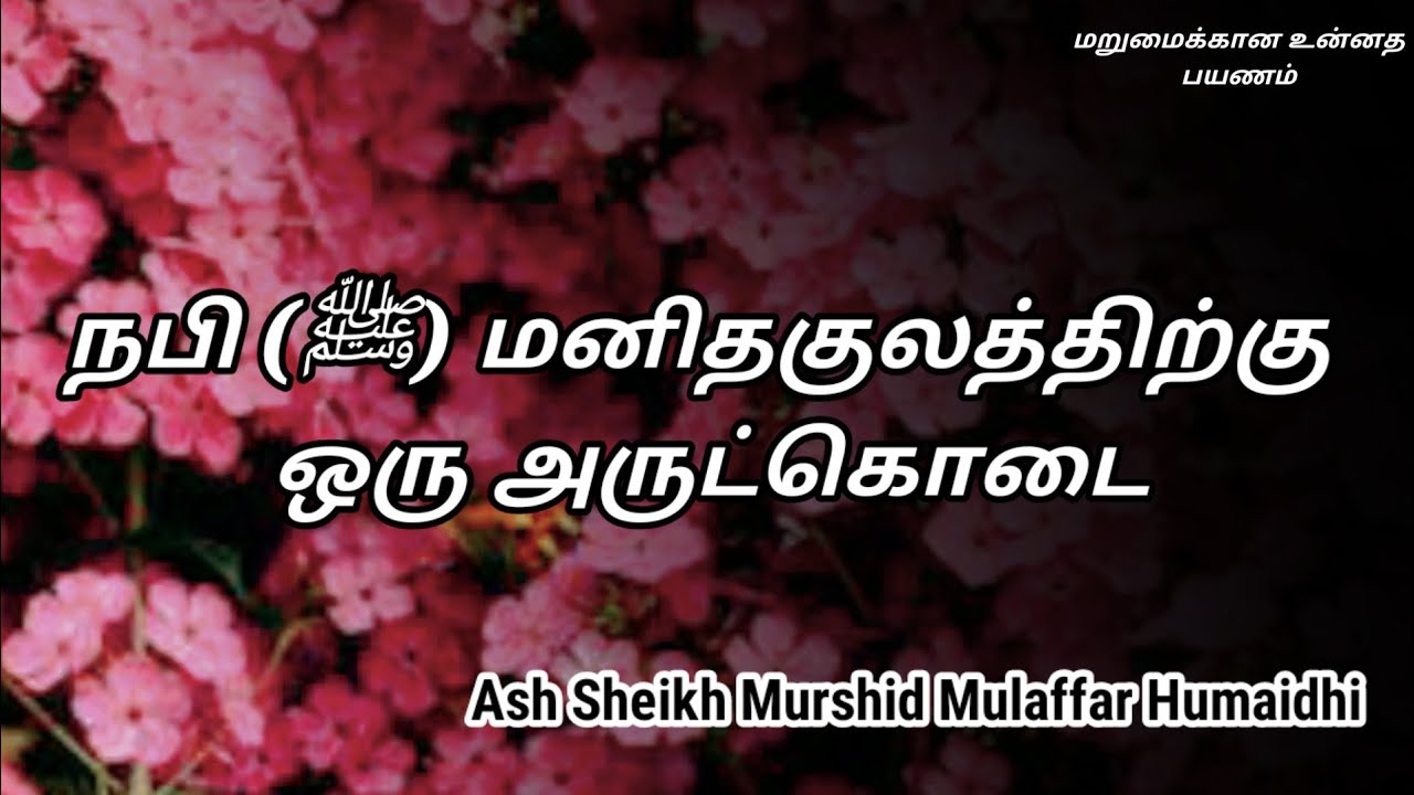 Ash Sheikh Murshid Mulaffar Humaidhi | Tamil Bayan