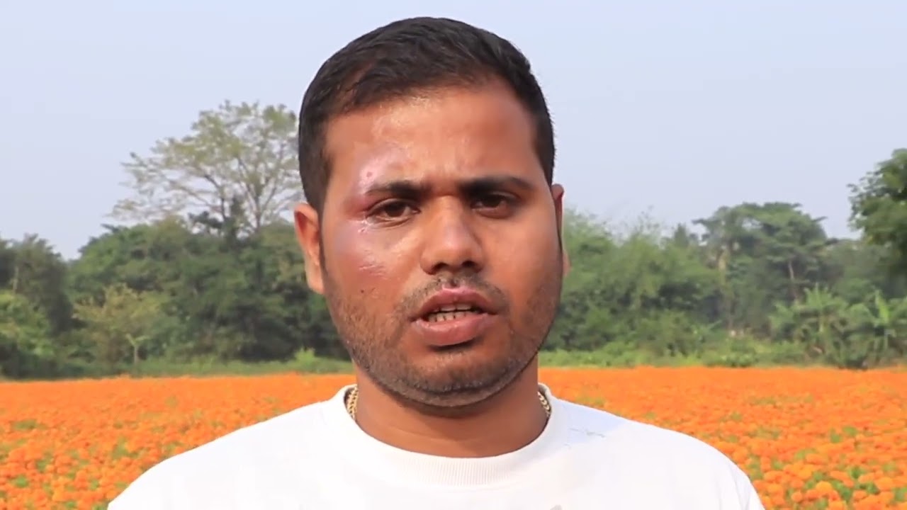 Thailand marigold seeds farming #thailand #flowers #marigoldgarden #business