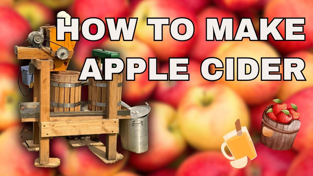 День отжима яблочного сидра | Простой домашний сидр