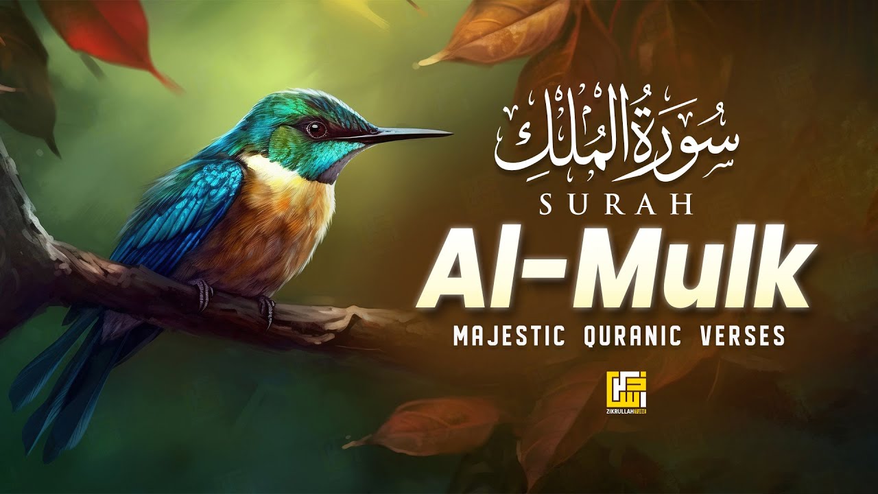 Surah AL Mulk - سورة الملك | Most Relaxing Recitation Before Sleep | Beautiful Recitation