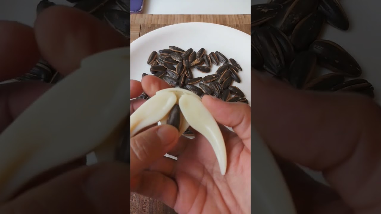 Amazing#shorts#SUNFLOWER SEED OPENER#kitchen hacks#Lifehacks#youtubeshorts