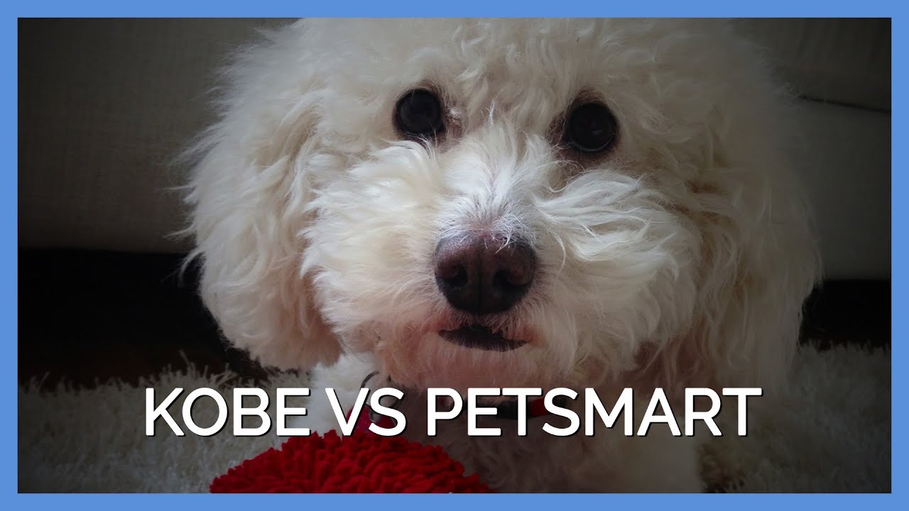 Kobe vs PetSmart