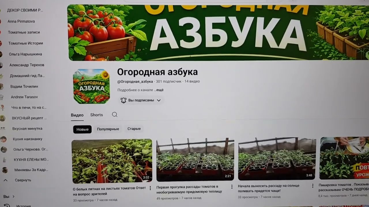 Один за всех, и все за одного. Дело чести и взаимопомощи 17.03.26