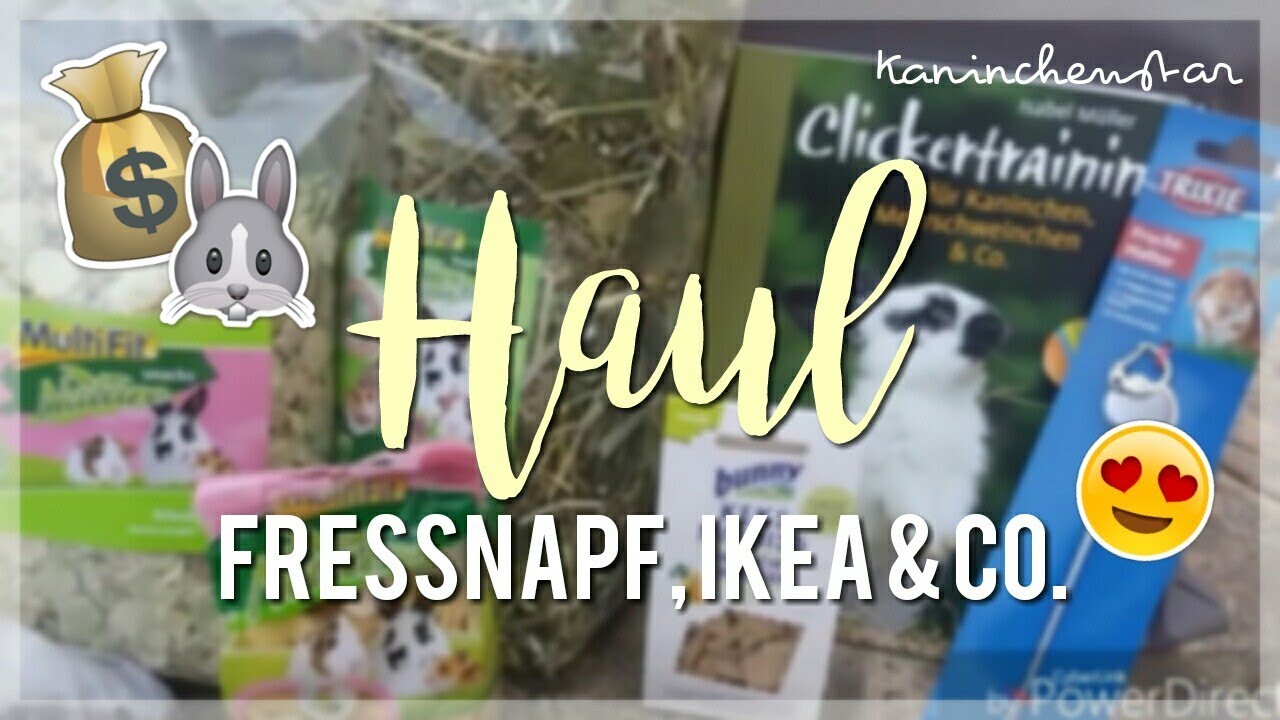 Kaninchen Haul (Fressnapf, Ikea & Co.) | Kaninchenstar