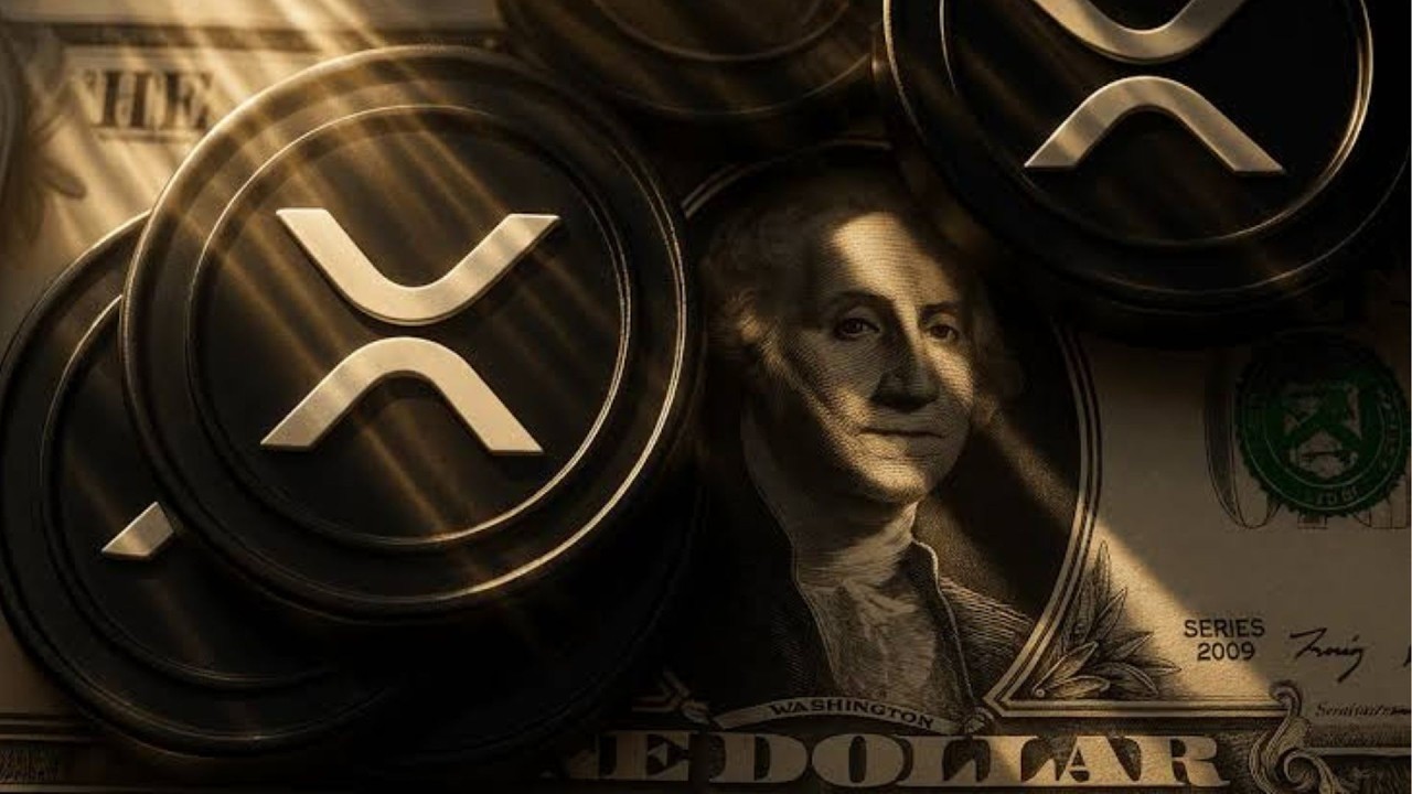 ЦЕНОВАЯ ВОЙНА XRP !!!! ЦЕНА XRP, ЭТО ОНО !!!!