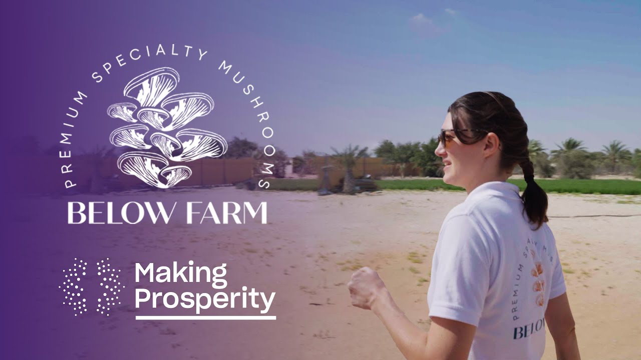 This Startup is Growing Mushrooms in the Desert - Below Farm