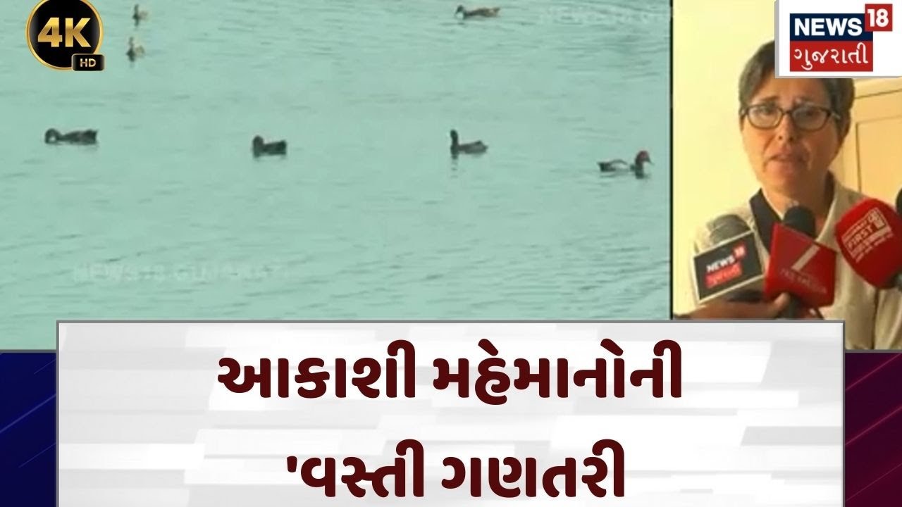 Bird Count| પોરબંદરના વેટલેન્ડમાં પક્ષીઓની વસ્તી ગણતરી| Porbandar|Gujarat | News 18 Gujarati | N18V
