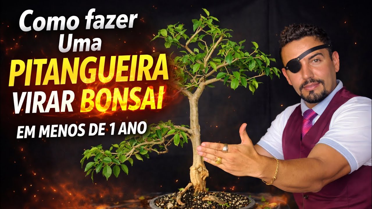 Bonsai de PITANGA do ZERO 🌱 | Poda Drástica, Transplante e Formação em Poucos Meses