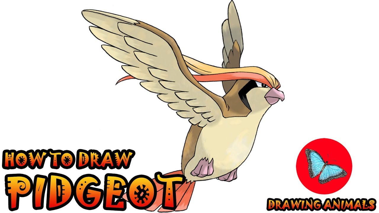 How To Draw Pidgeot From Pokemon | Drawing Animals