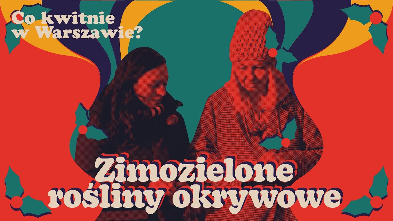 Zimozielone rośliny okrywowe - byliny, krzewinki, pnącza
