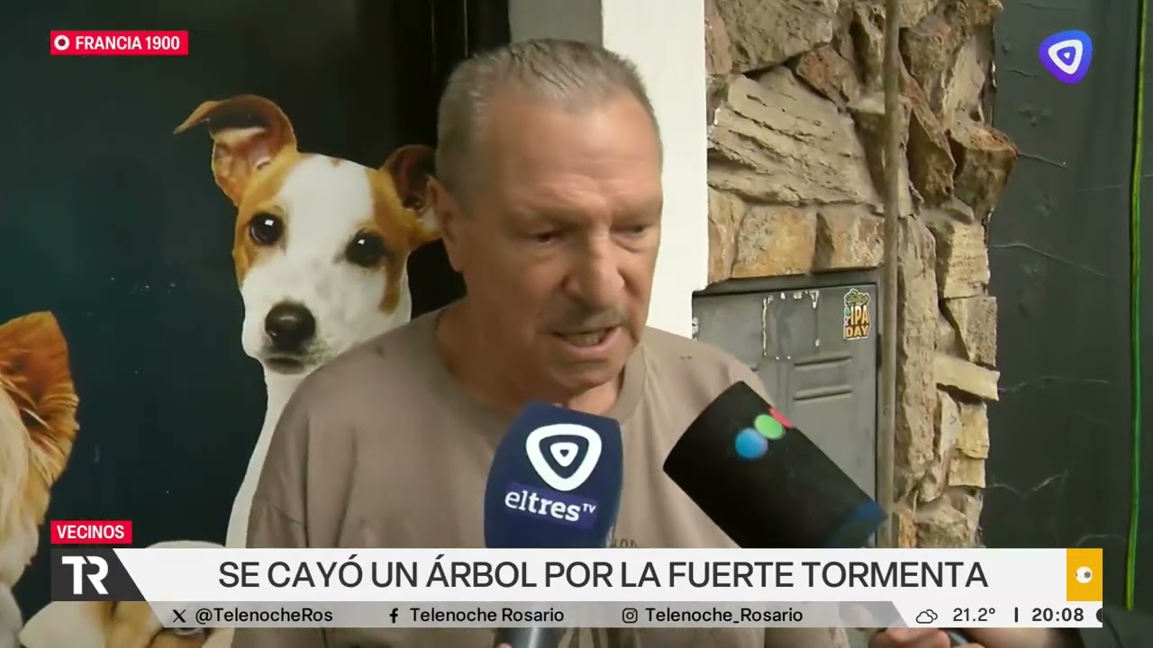 Árboles caídos y calles anegadas en Rosario tras el paso de una intensa tormenta
