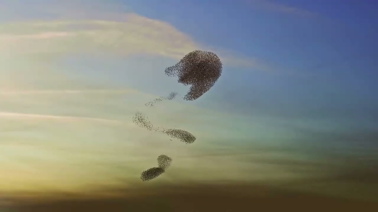 Atlantis Sorä & Massam Remix (Jaded Wanderer)