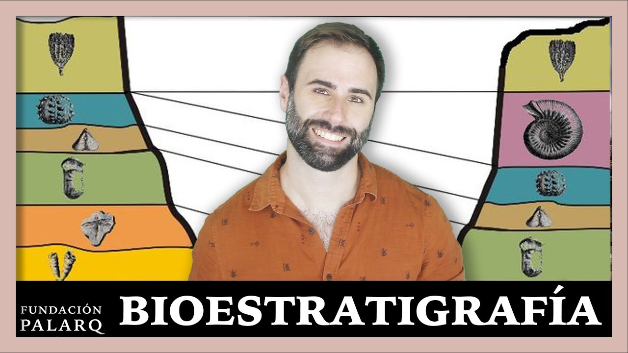 🤔 ¿Qué es la BIOESTRATIGRAFÍA y qué estudia?