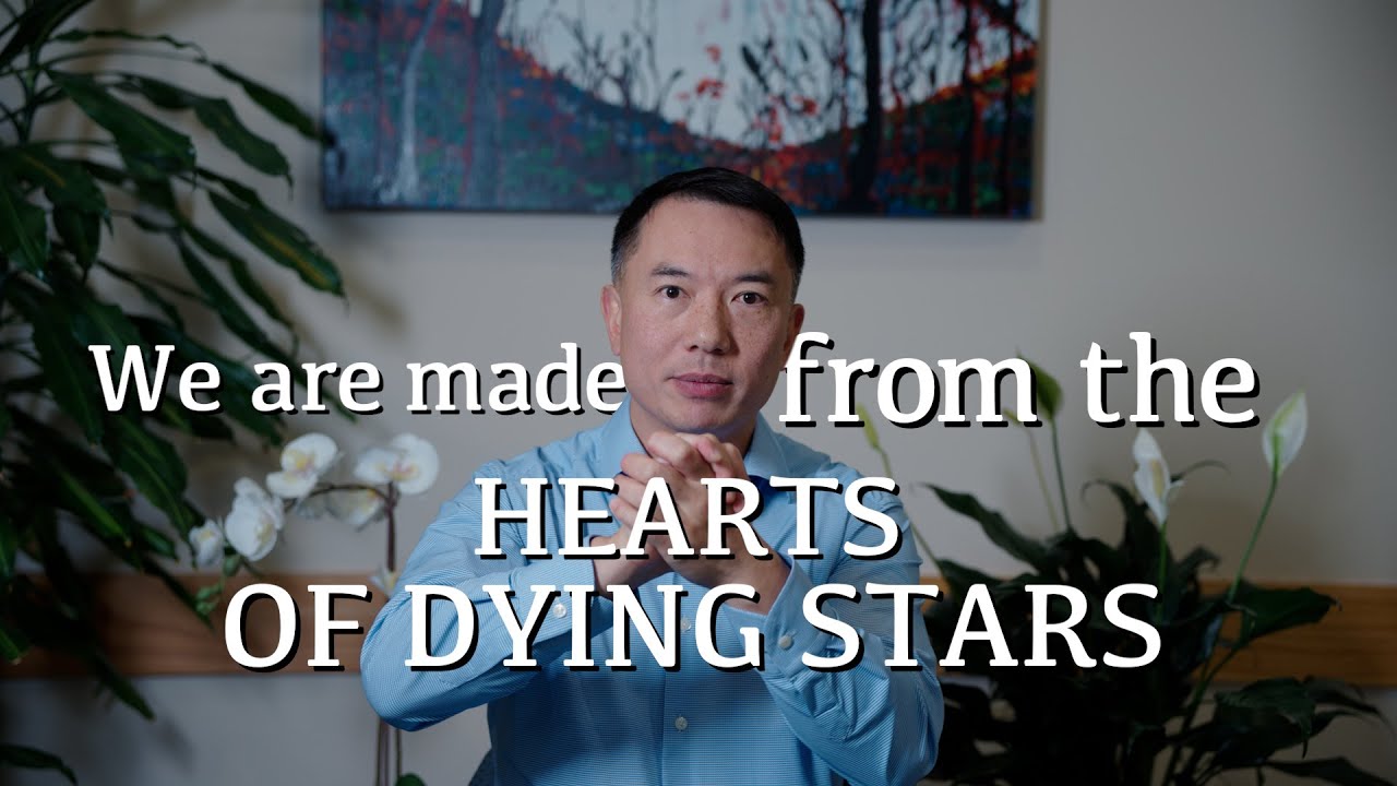 WE ARE MADE FROM THE HEARTS OF DYING STARS