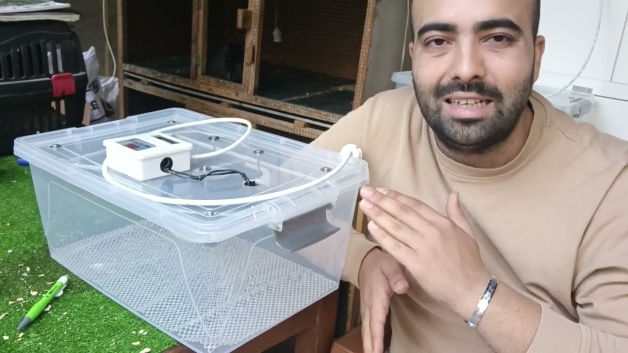 KULUÇKA MAKİNASI NEDİR ? EL YAPIMI KULUÇKA MAKİNASI YAPTIK 🐣