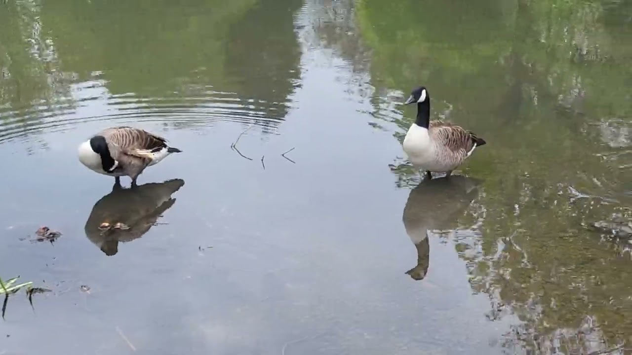 Come to Greenhead Park in Huddersfield with me