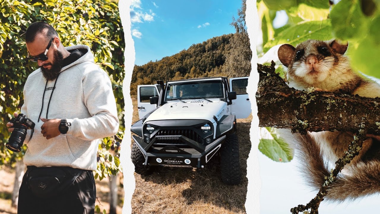 JEL RODILA ŠLJIVA? Jeep, selo i druženje…