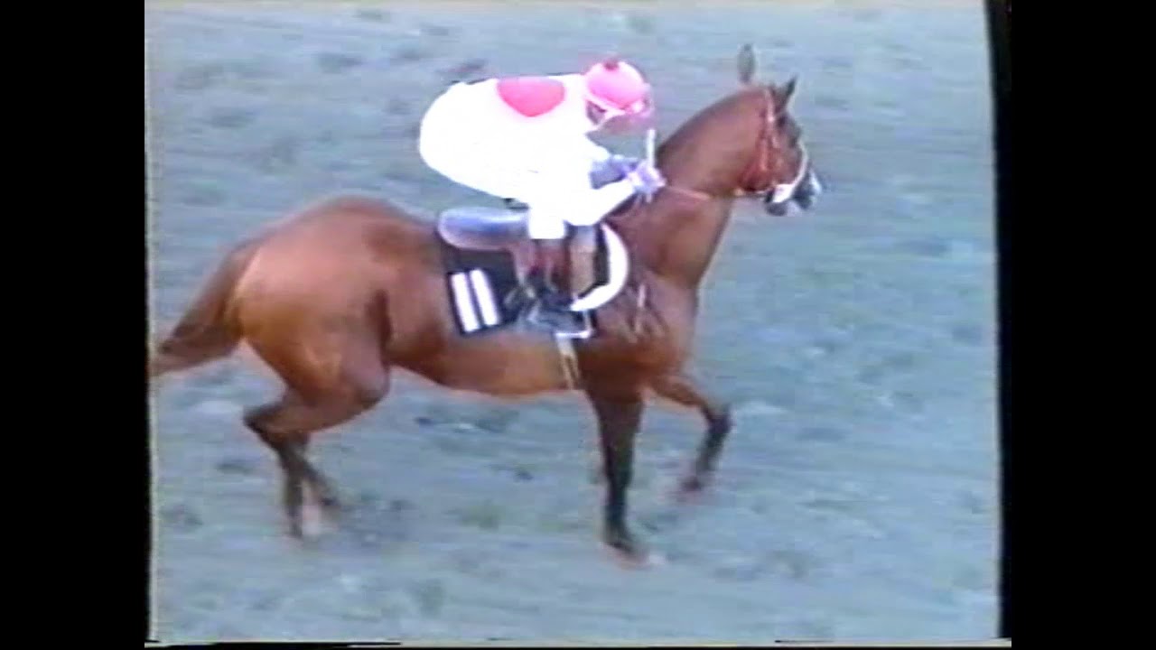 THE CYPRUS DERBY 1993 MARIS MAGIC