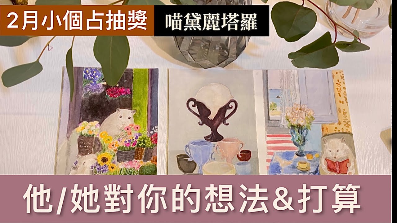 🐈‍⬛❤️（°∀°）…他（她）對我的想法、打算｜對方內心OS｜2月小個占抽獎｜喵黛麗塔羅