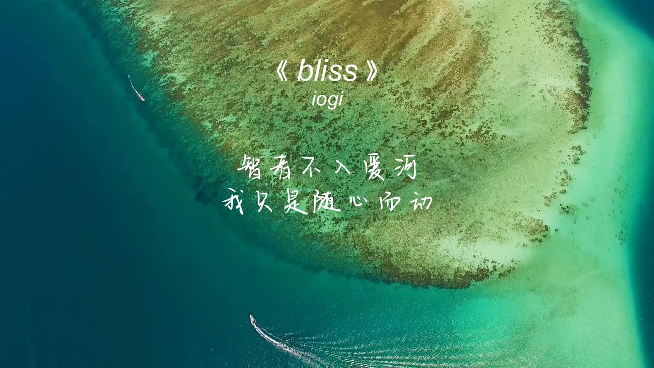 bliss - iogi