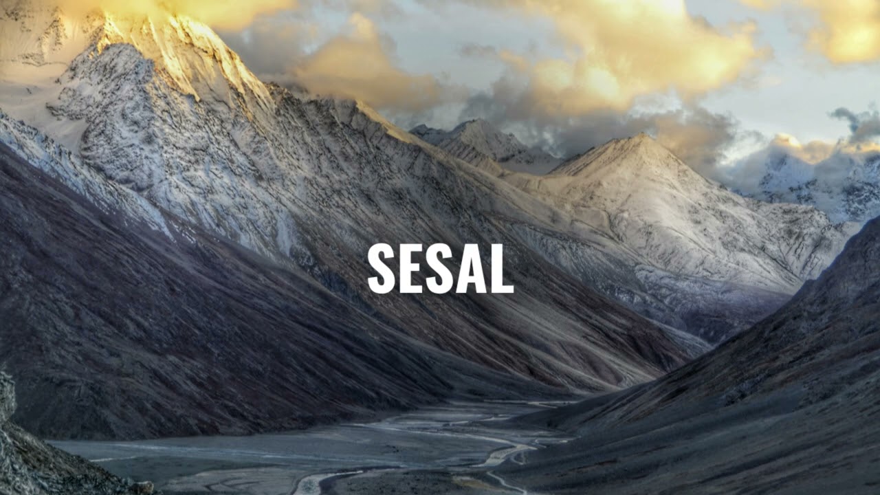 Sesal