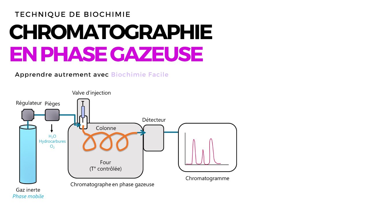 Chromatographie en phase gazeuse | Biochimie Facile