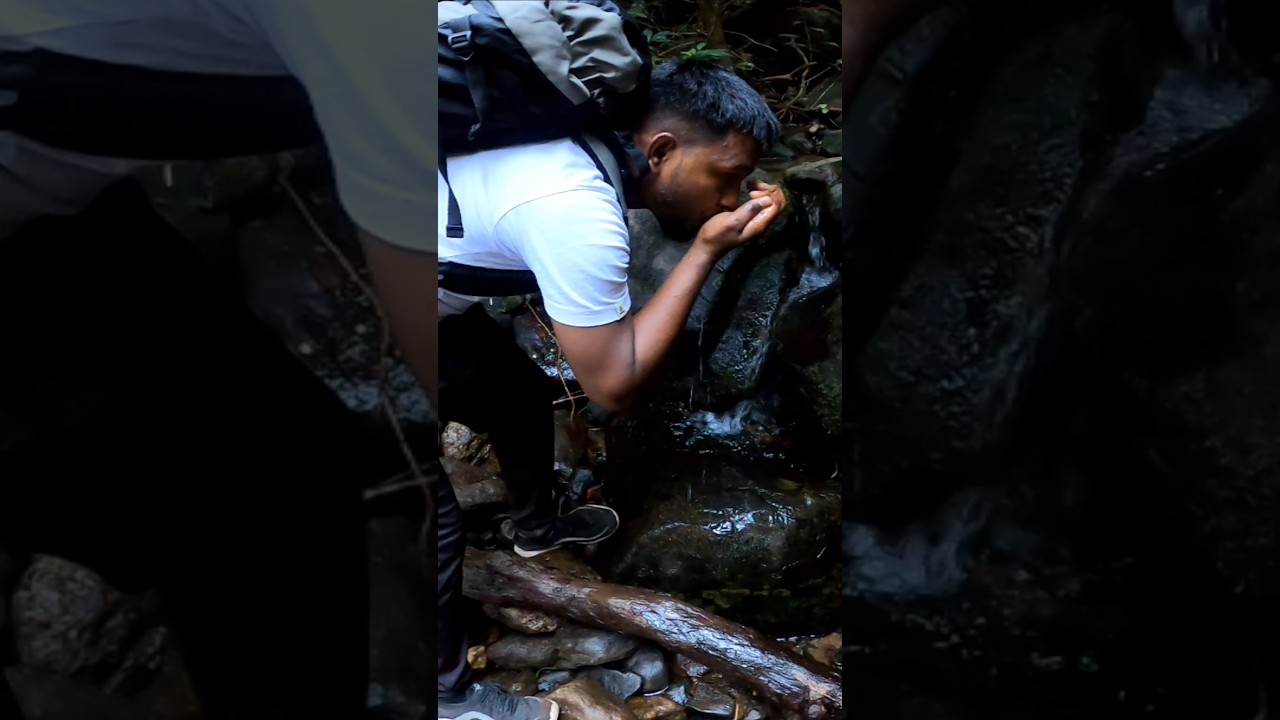 kumara parvatha trekking | #travel #hiking #kannada #mrcrazykannadiga