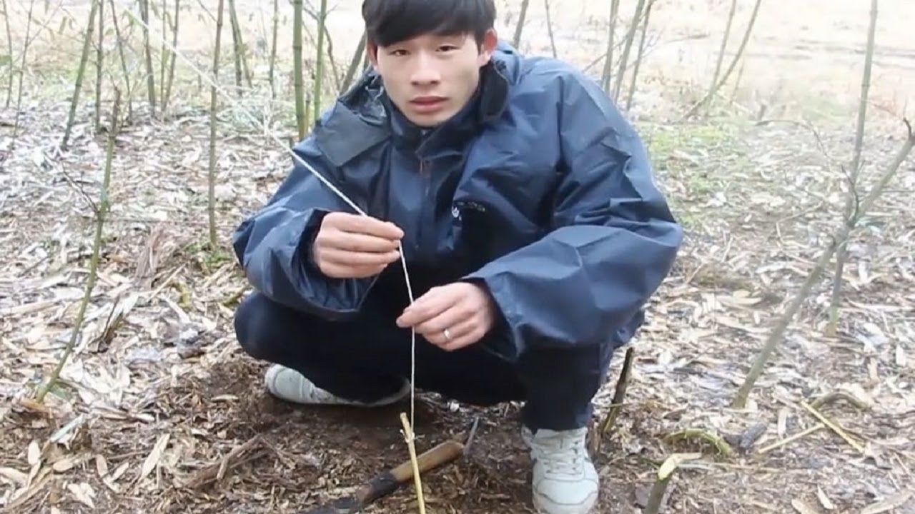 农村小伙竹林砍竹，自制铺鸟陷阱，步骤简单易学
