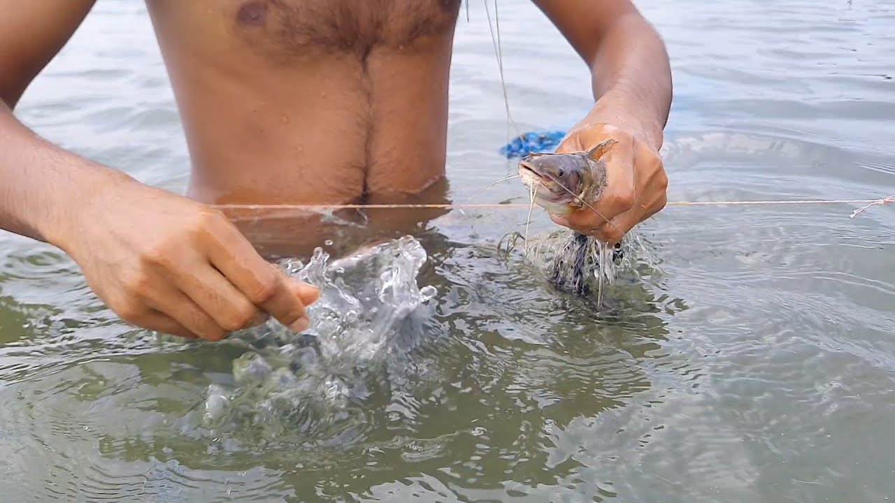 Amazing Hand Fishing Video !! Best Net Fishing Video In The Rural Area !! Part- 1