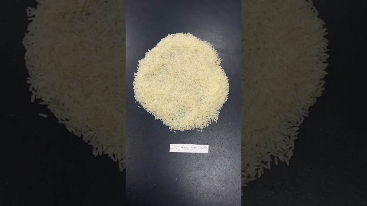 How wealthy is Jeff Bezos? Visualized in rice 💸