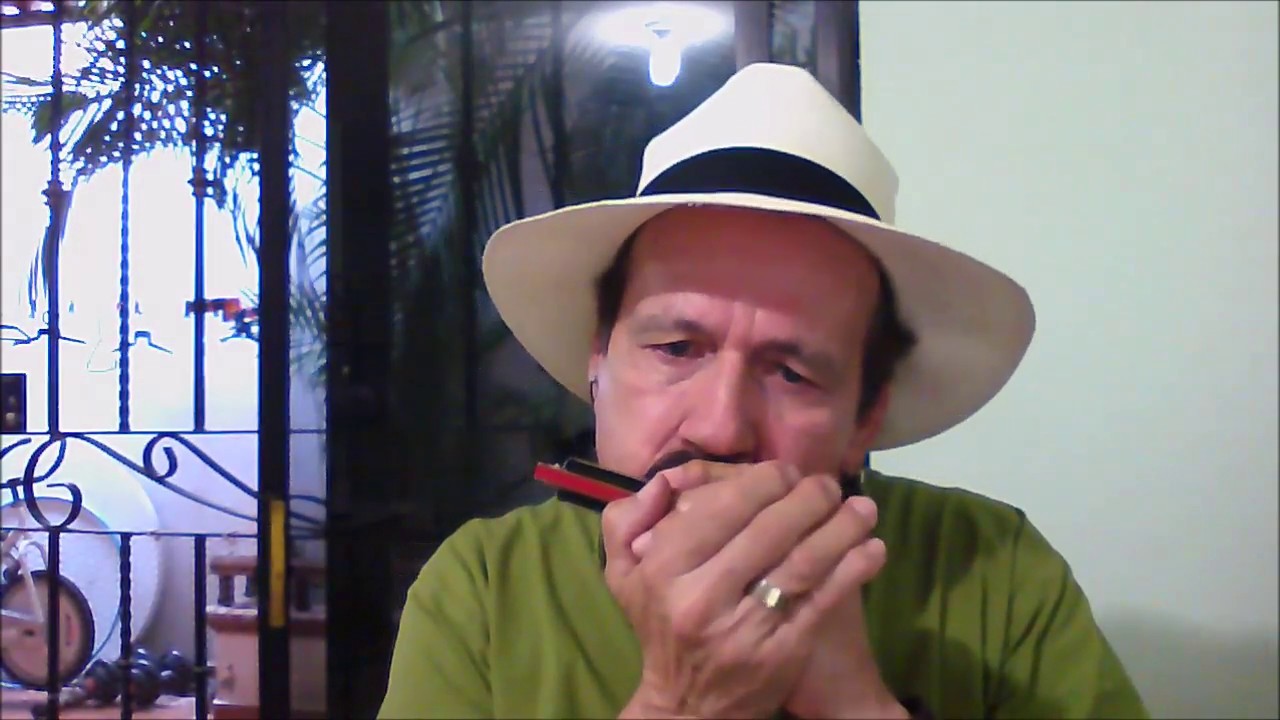 Have you ever seen the rain - Creedence Clearwater Revival - Harmonica by Harmonicalf