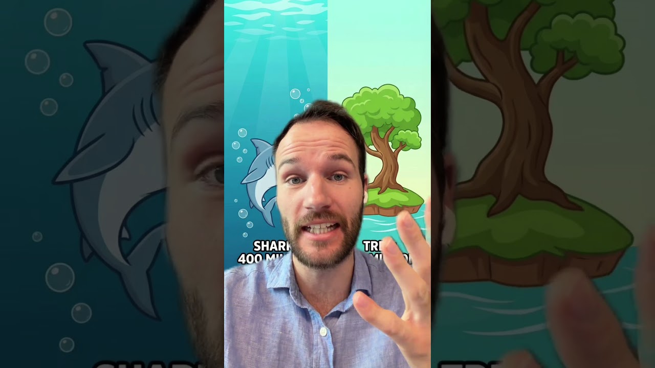Le requin plus vieux que l&rsquo;arbre 🌳 #anecdote #requin #histoire #nature