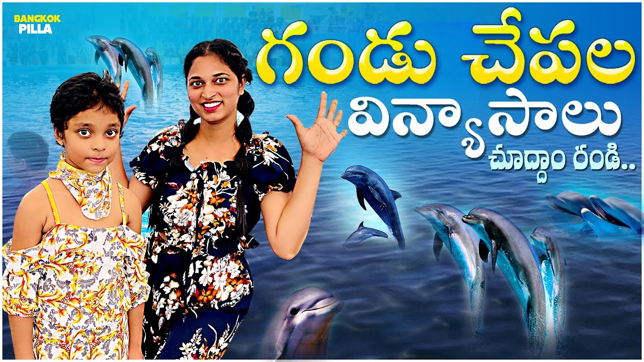 గండు చేపల విన్యాసాలు.. || Dolphinarium Pattaya || Bangkok Pilla