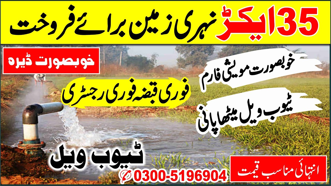 Land For Sale - 35 Acre Cheap Agriculture Land For Sale In Punjab Pakistan - Zarai Zameen