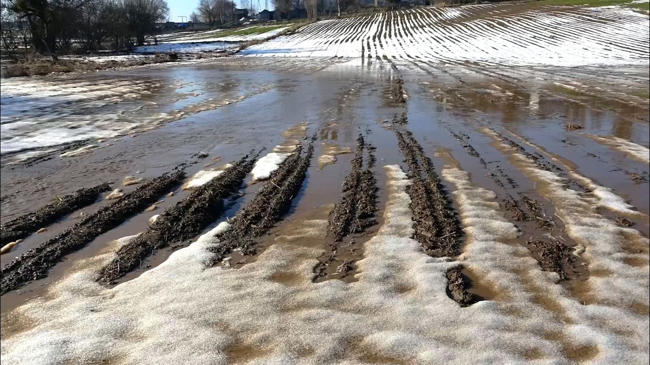 Lubelskie - krajobraz końca zimy