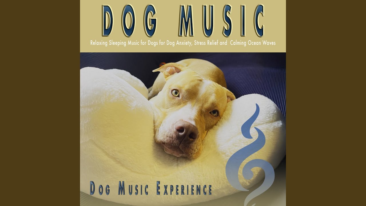 Dog Music