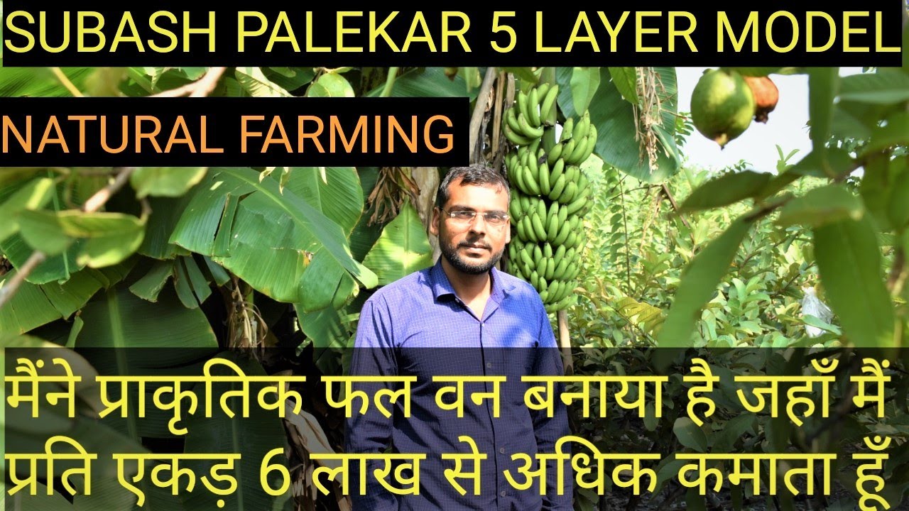 Subash Palekar Natual Farming Model | Multi Layer Farmig | 5 Layer Model   की खेती से किसान मालामाल