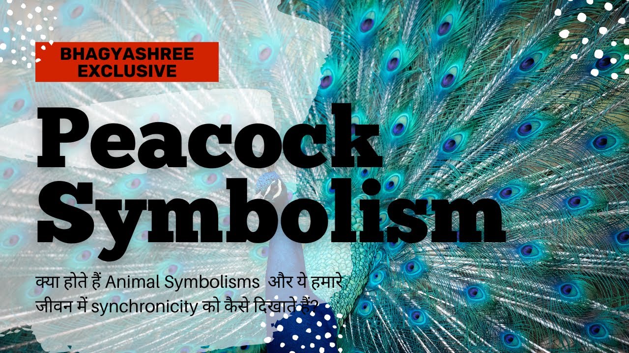 Pride and Liberation | Peacock Animal Symbolism | Peacock Dream Meaning in Hindi by Bhagyashree