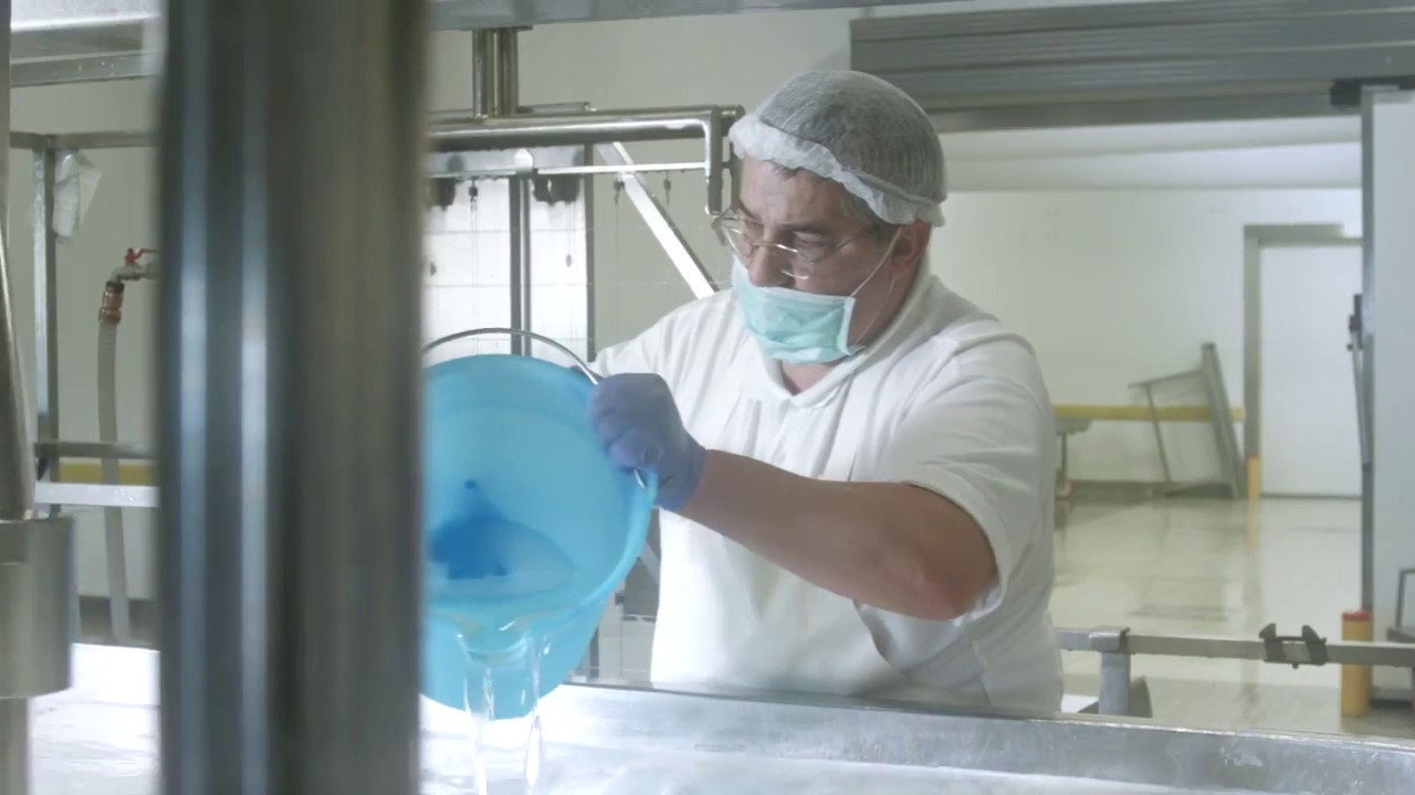 Mario Costa S.p.A. | La produzione del Gorgonzola