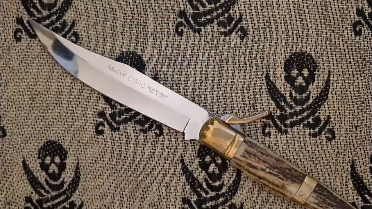 Muela Curro A-Stag | Review German
