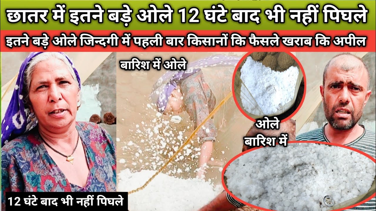 #छातर