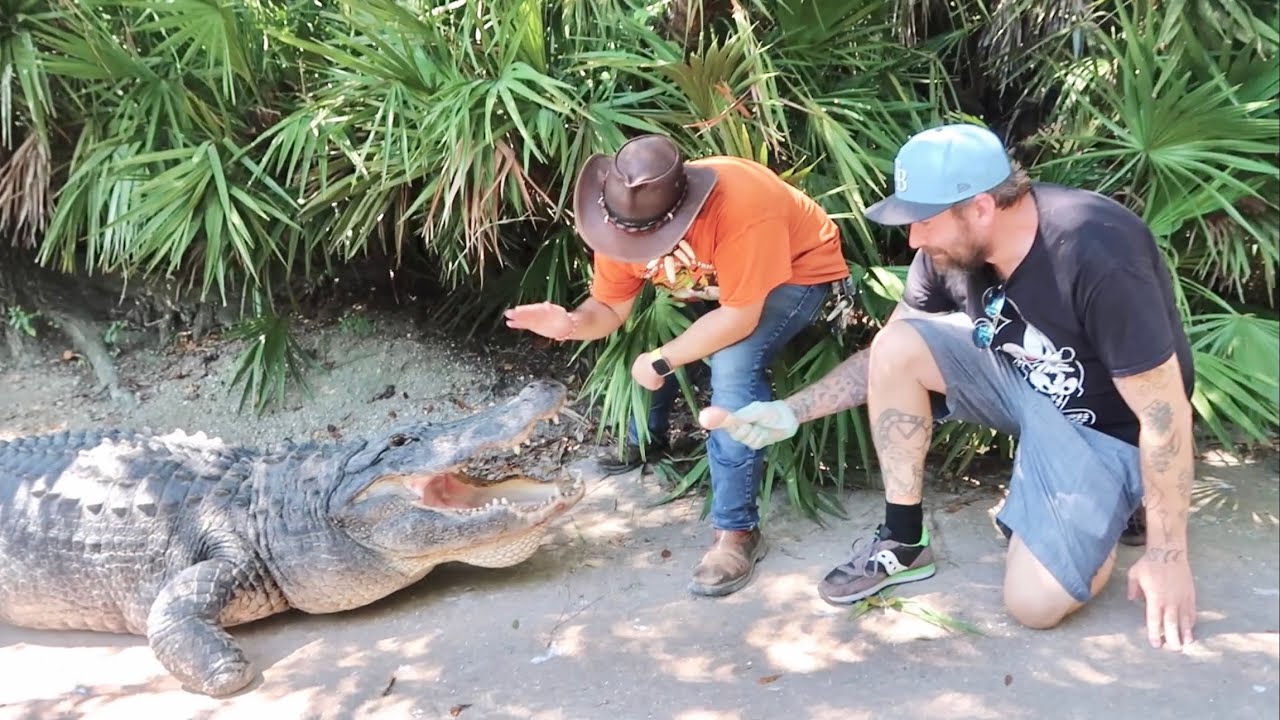 Halloween Time At Gatorland Orlando - All NEW Experiences At Gators, Ghosts & Goblins Event 2023