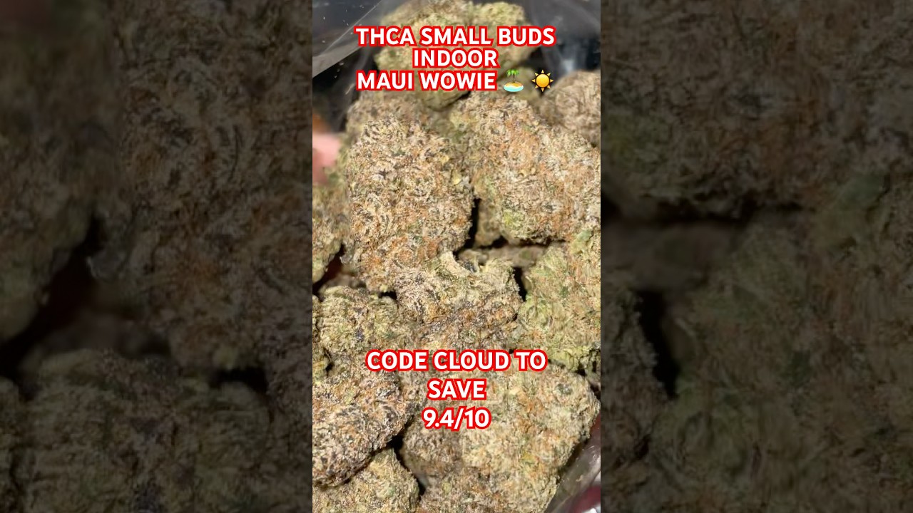 THCA SMALL BUDS - MAUI WOWIE #thcareview #420 #cbd #thca #legaleducation #zaza #review