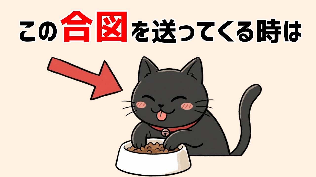 猫の仕草には意味がある｜知らないと誤解するサイン集