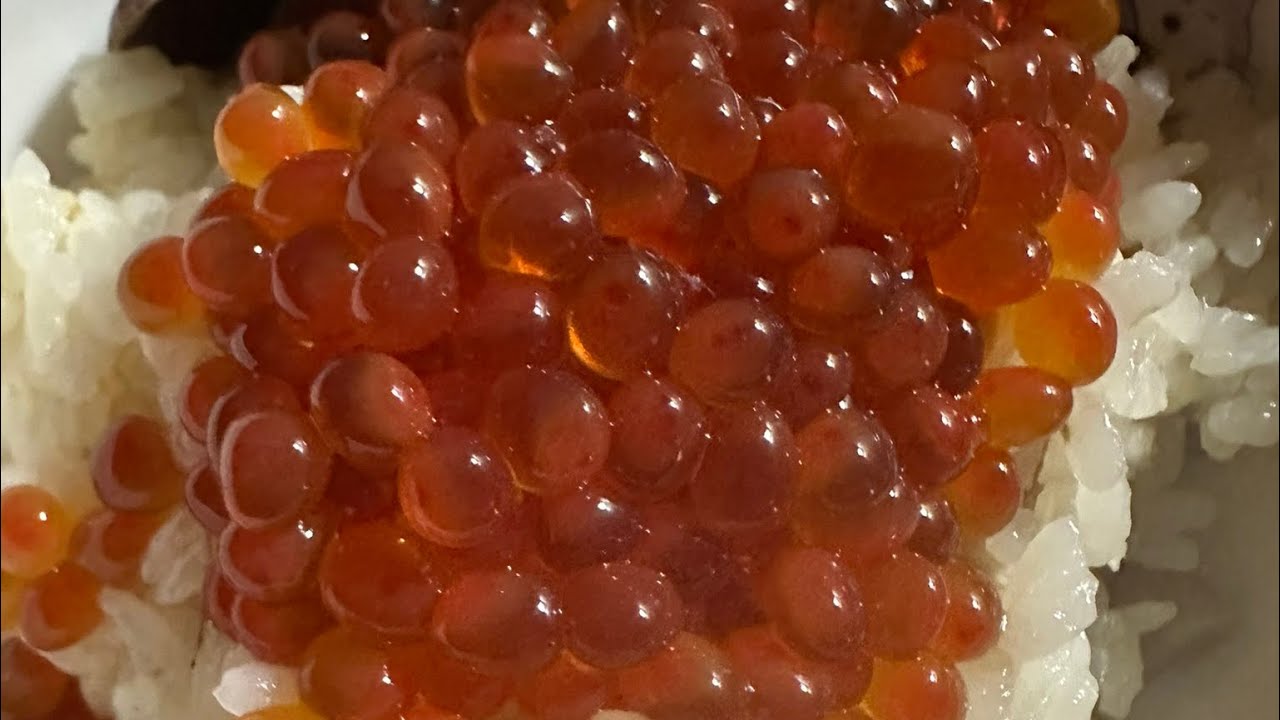 筋子からイクラへ　salmon caviar きのこ炊き込みご飯　mushroom rice 