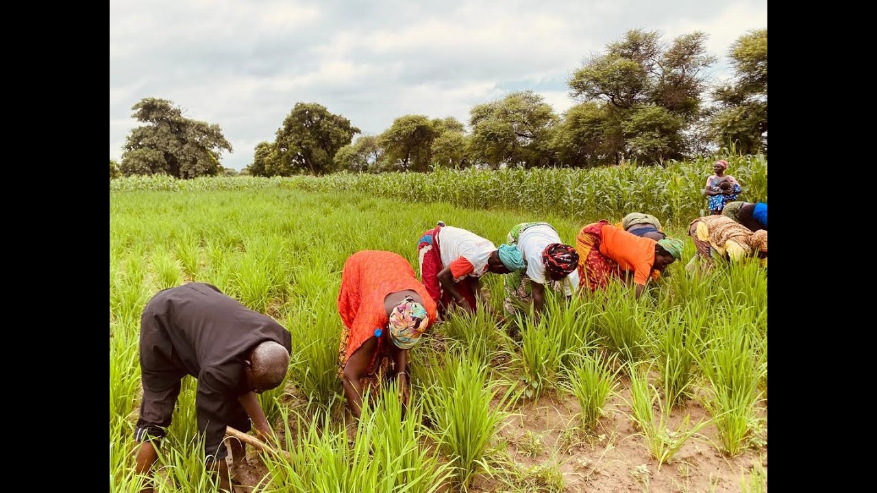 En savoir plus sur le Village Intelligent face au Climat de Ouda - Burkina-Faso