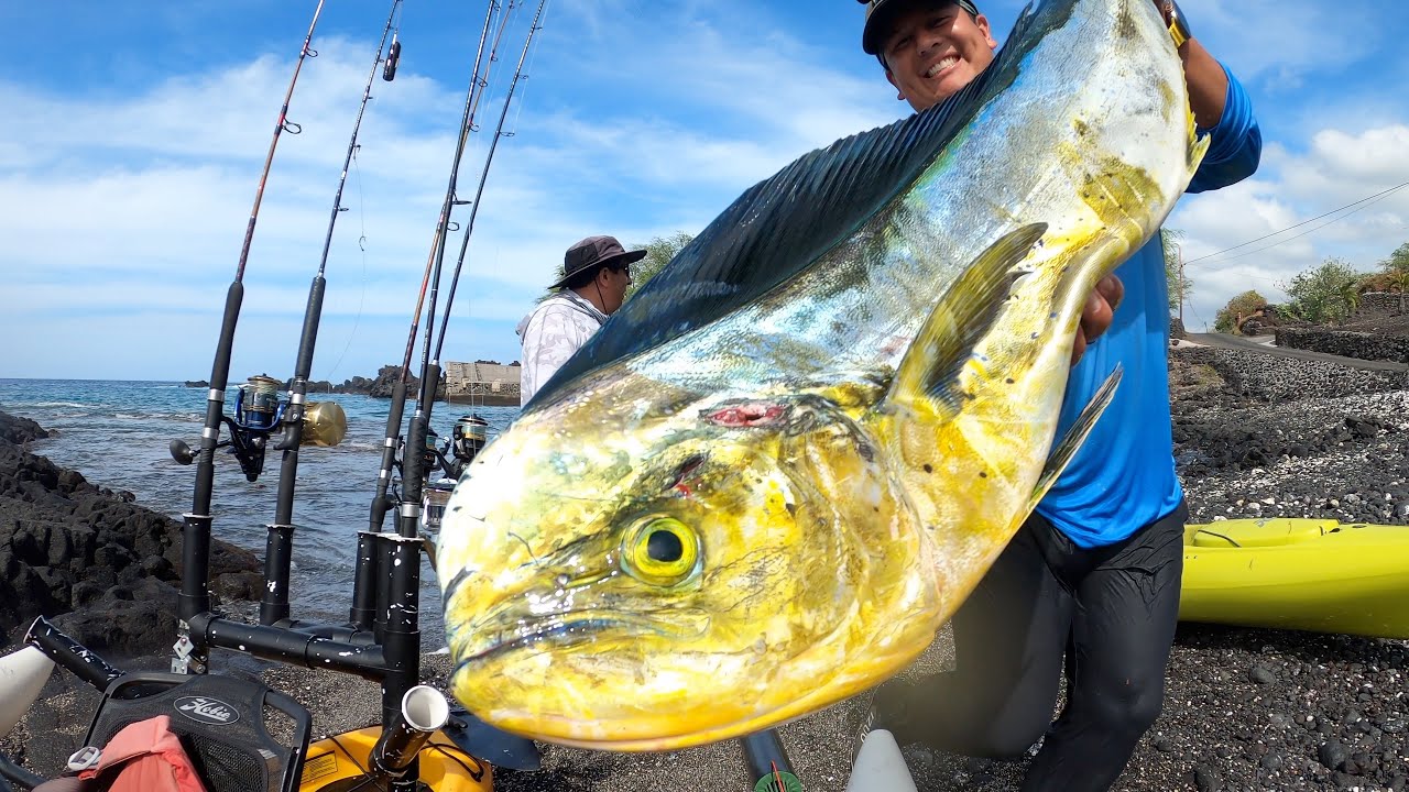 mahi-mahi kayak fishing hawaii